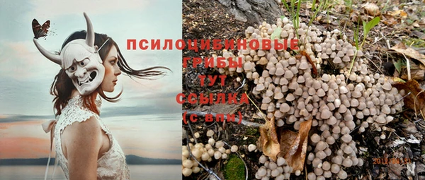 спиды Бронницы