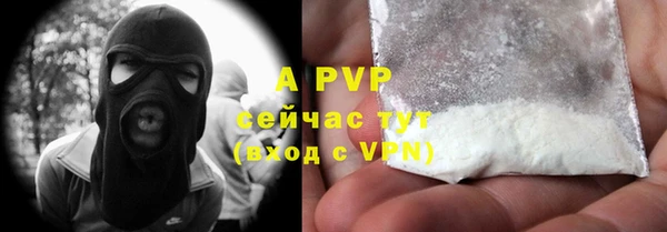 ПСИЛОЦИБИНОВЫЕ ГРИБЫ Верея