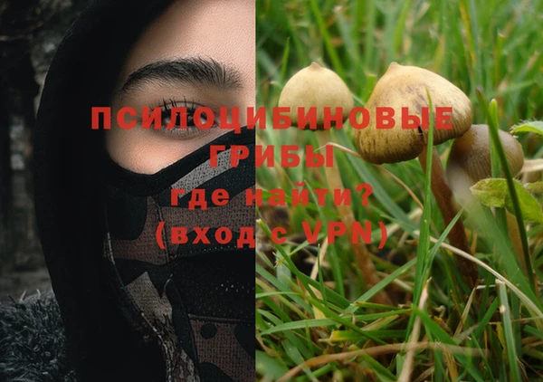 ПСИЛОЦИБИНОВЫЕ ГРИБЫ Верея