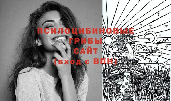 спиды Бронницы