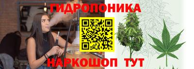 крисы Апшеронск