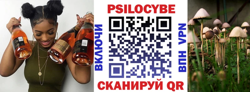 kraken ONION  Воркута  Псилоцибиновые грибы мицелий 