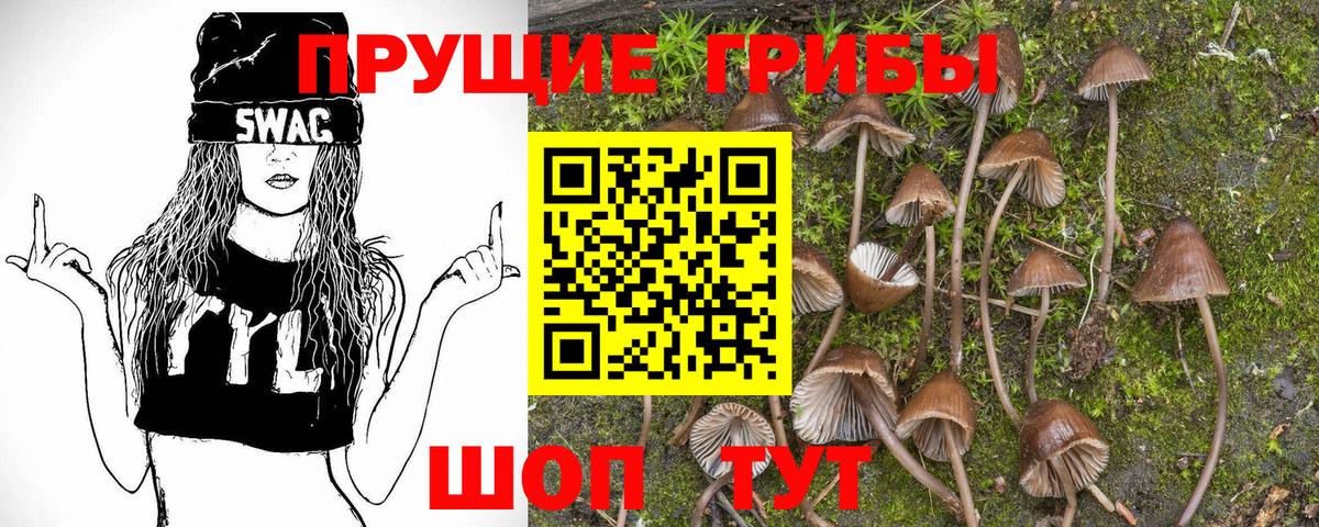 Псилоцибиновые грибы прущие грибы Воркута